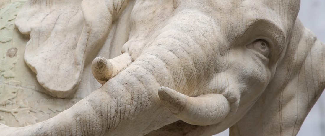 Bernini and the most famous elephant in Rome