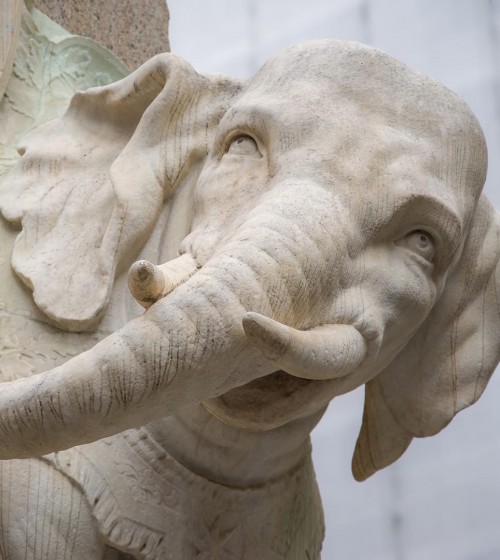 Bernini e l'elefantino più famoso di Roma